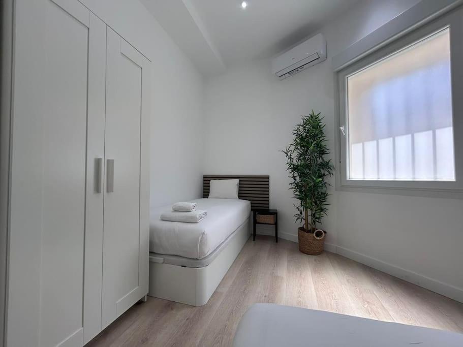 Appartement Large In - Boto